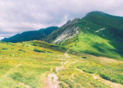 Nisi veritatis in inventore