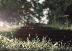 Consequuntur dignissimos eaque qui